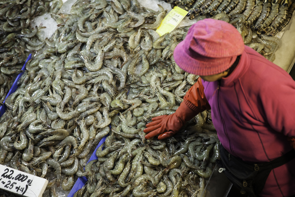 انتشار البلوك شين بين الصيادين والمزارعين الكوريين.