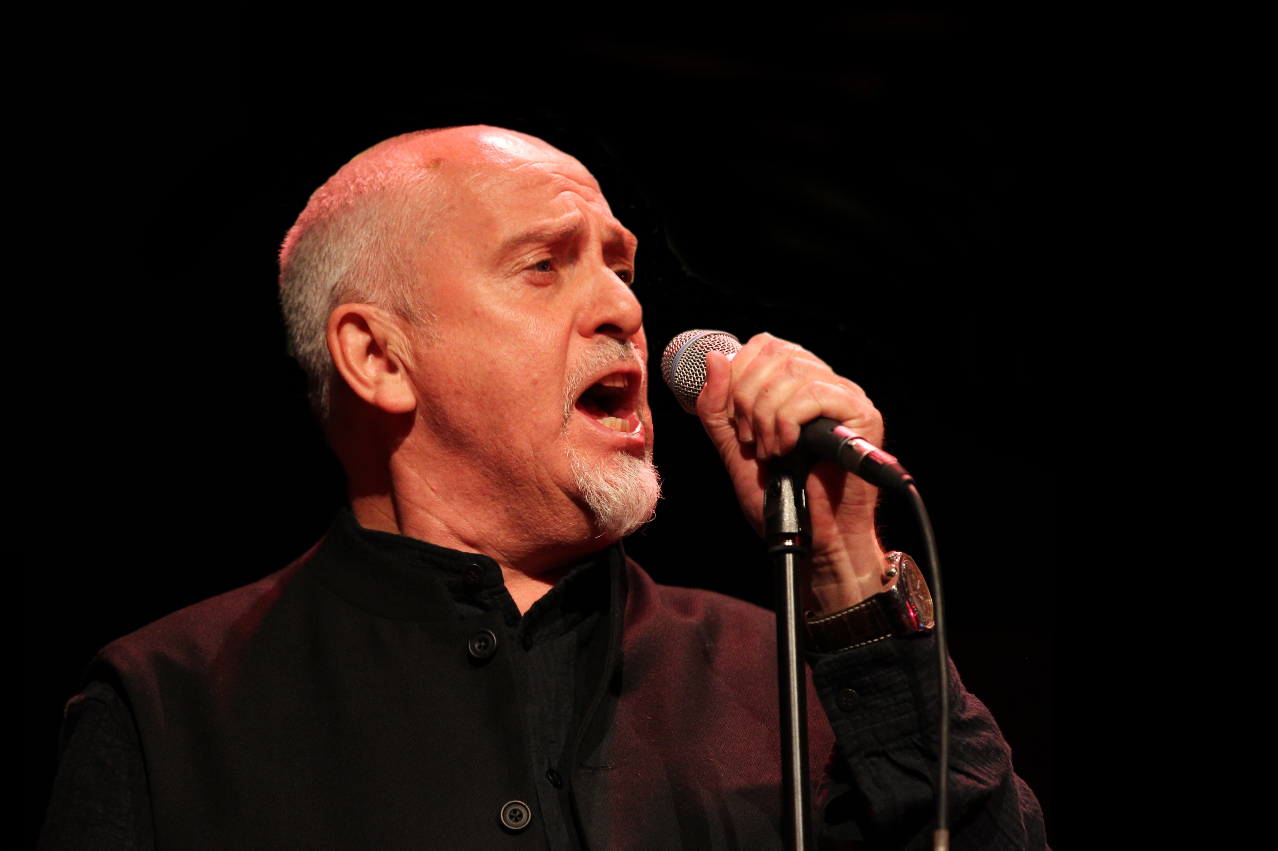 “I’m Going to Watch It Growing.” Peter Gabriel Invests in Blockchain