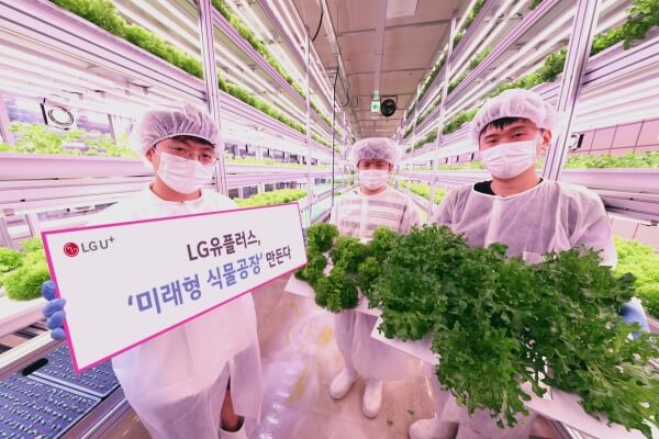LG демонстрирует ведение сельского хозяйства на основе блокчейн