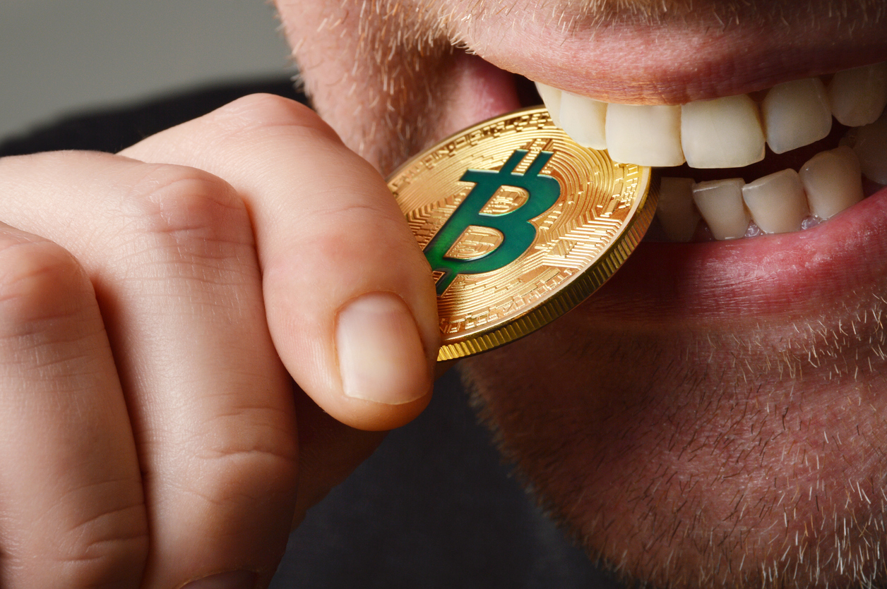 “My Bitcoin is the True Bitcoin!” A Short Primer on the BTC v. BCH War