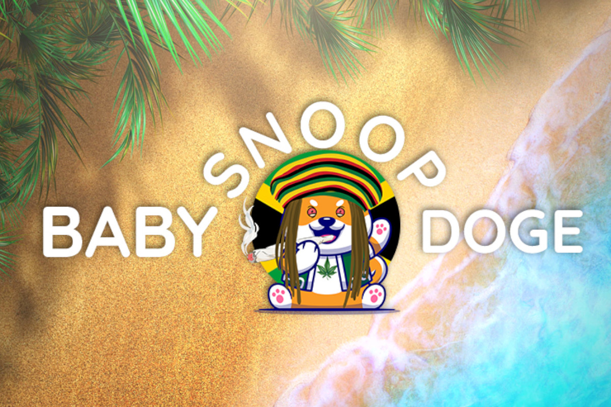 BabySnoopDoge, o maior memecoin de caridade para maconha