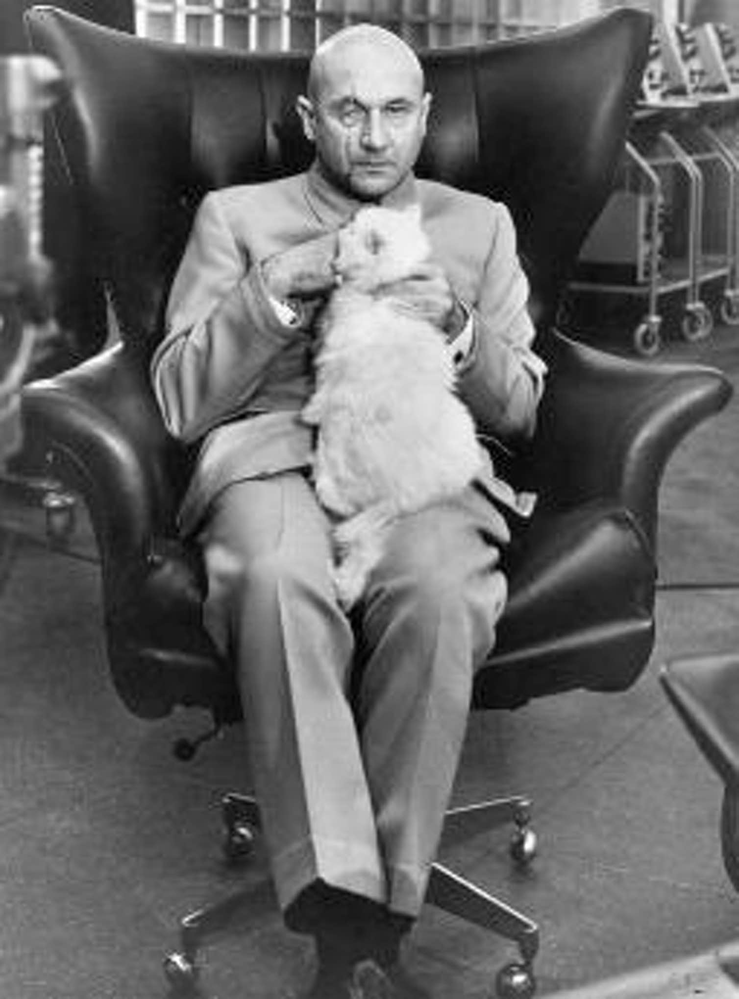 Cattivo di Bond