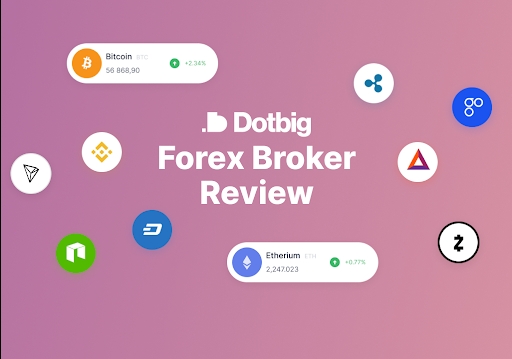 dotbig forex broker reviews