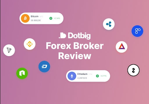 dotbig reviews