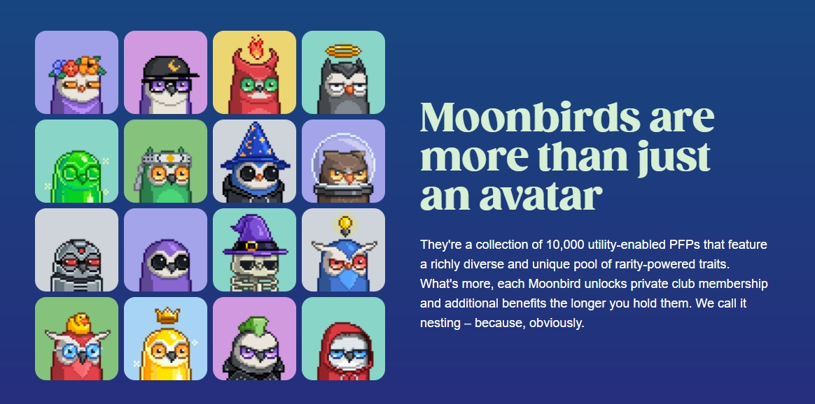 Moonbirds er mere end blot en avatar