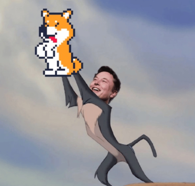 Elon musk Tamadoge