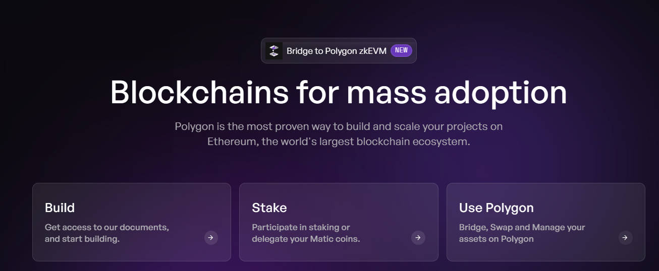polygon blockchain homepage