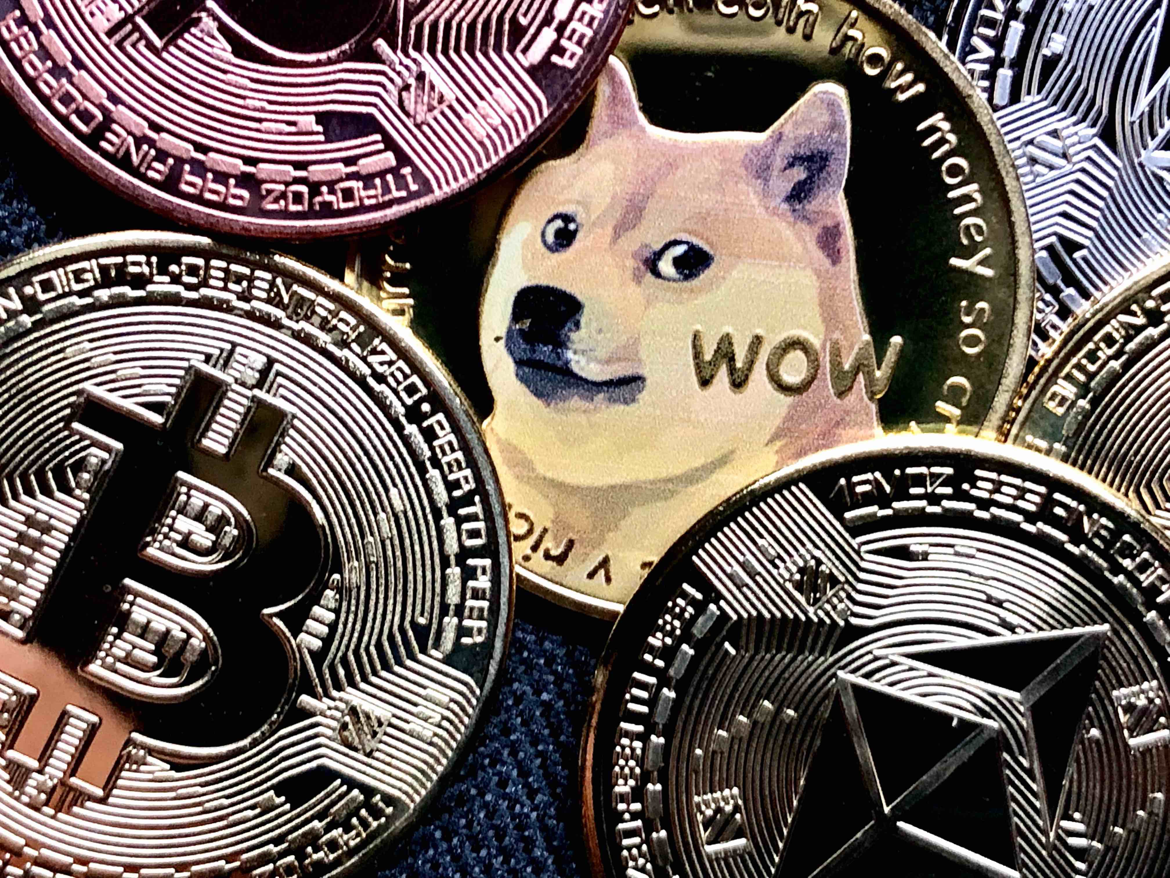 Tamadoge – die Zukunft der Meme-Coins oder warum dieser Coin im September 2022 explodieren wird