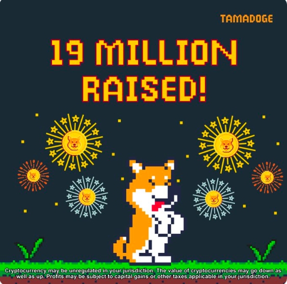 Tamadoge USD amount raised in a presale