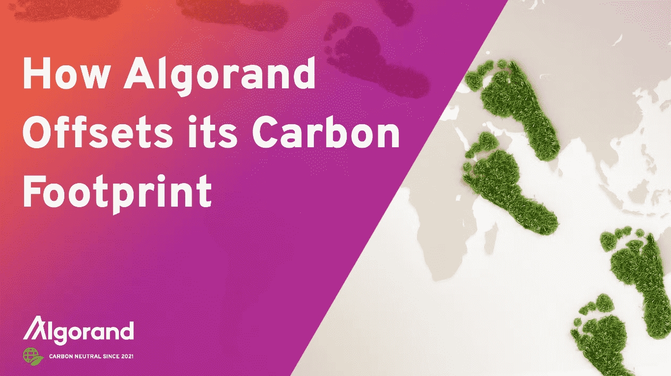 Algorand carbon footprint