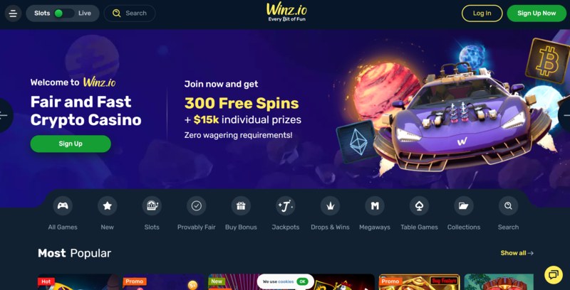 winz io crypto casino website overview