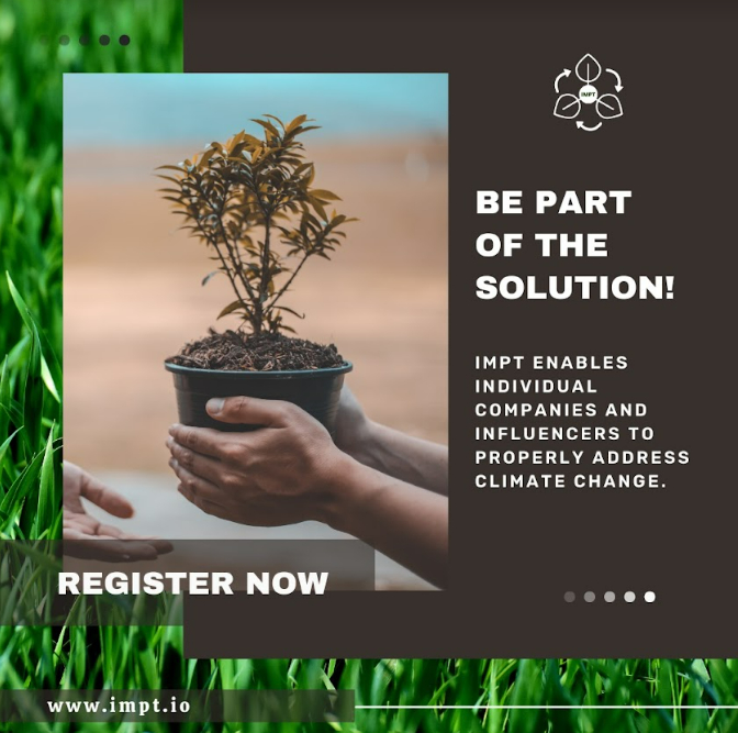 IMPT: miglior progetto NFT ecosostenibile