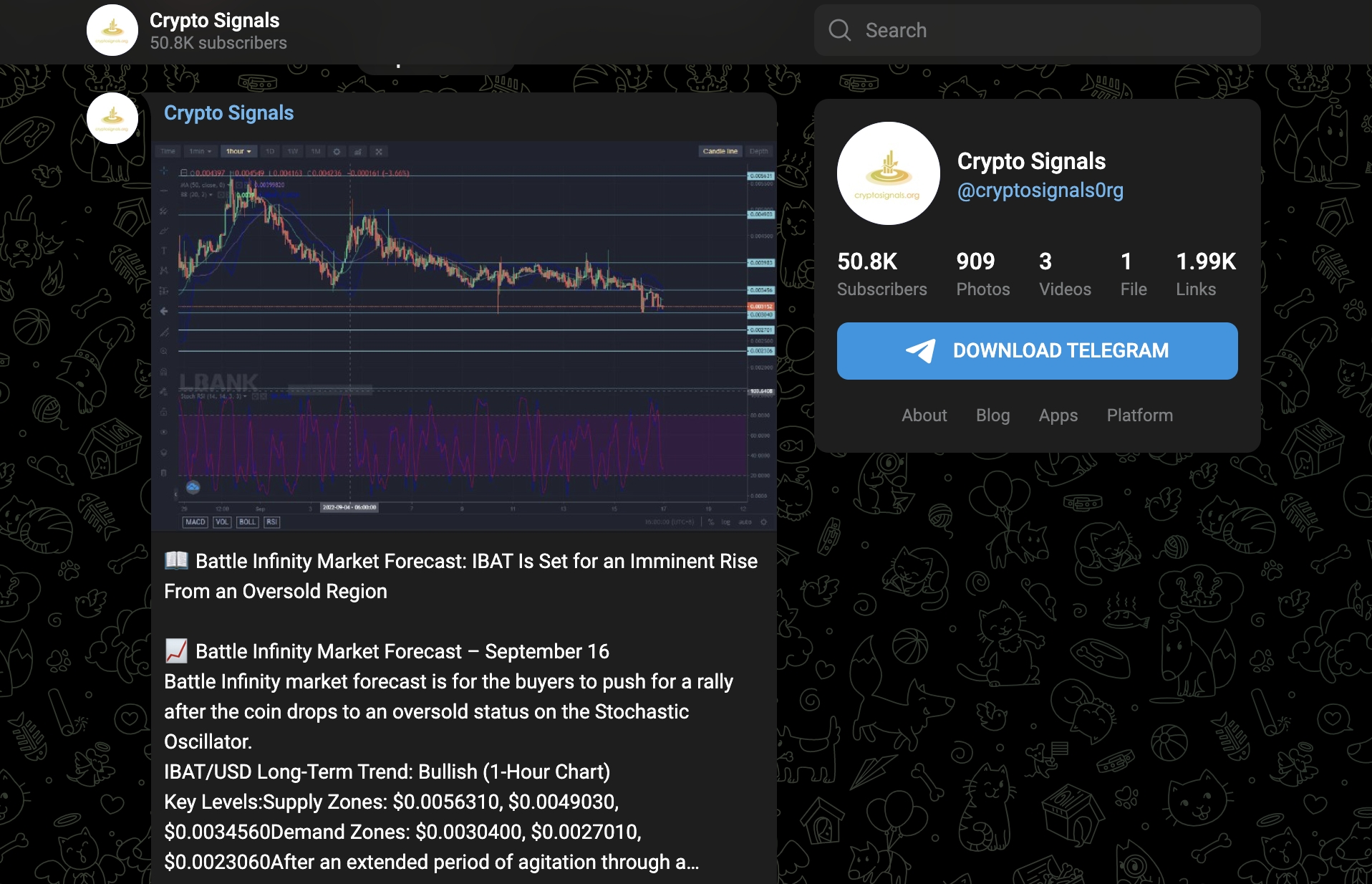 18 Best Crypto Signals Groups to Join in 2024