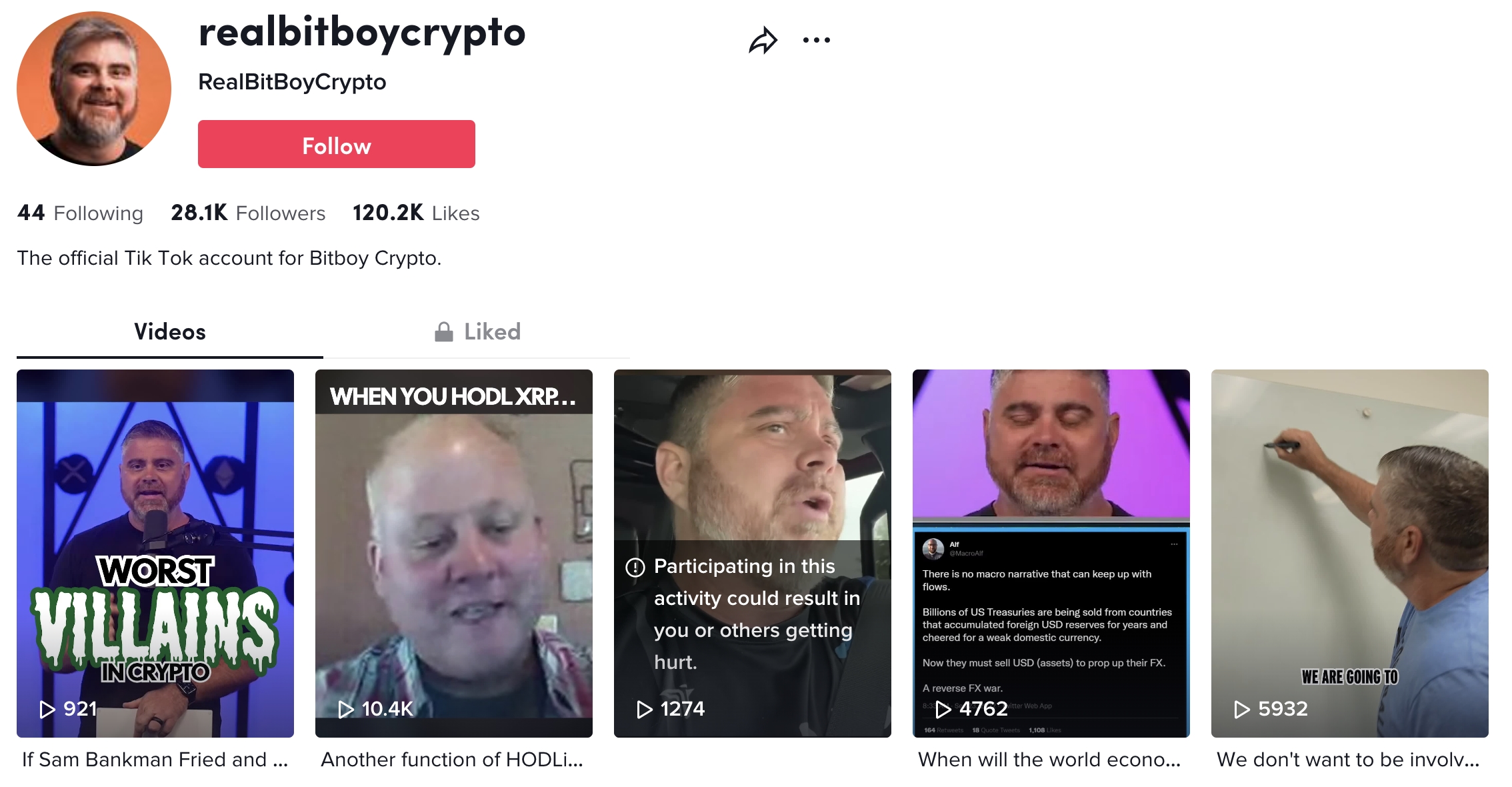 realbitboycrypto tik tok profile