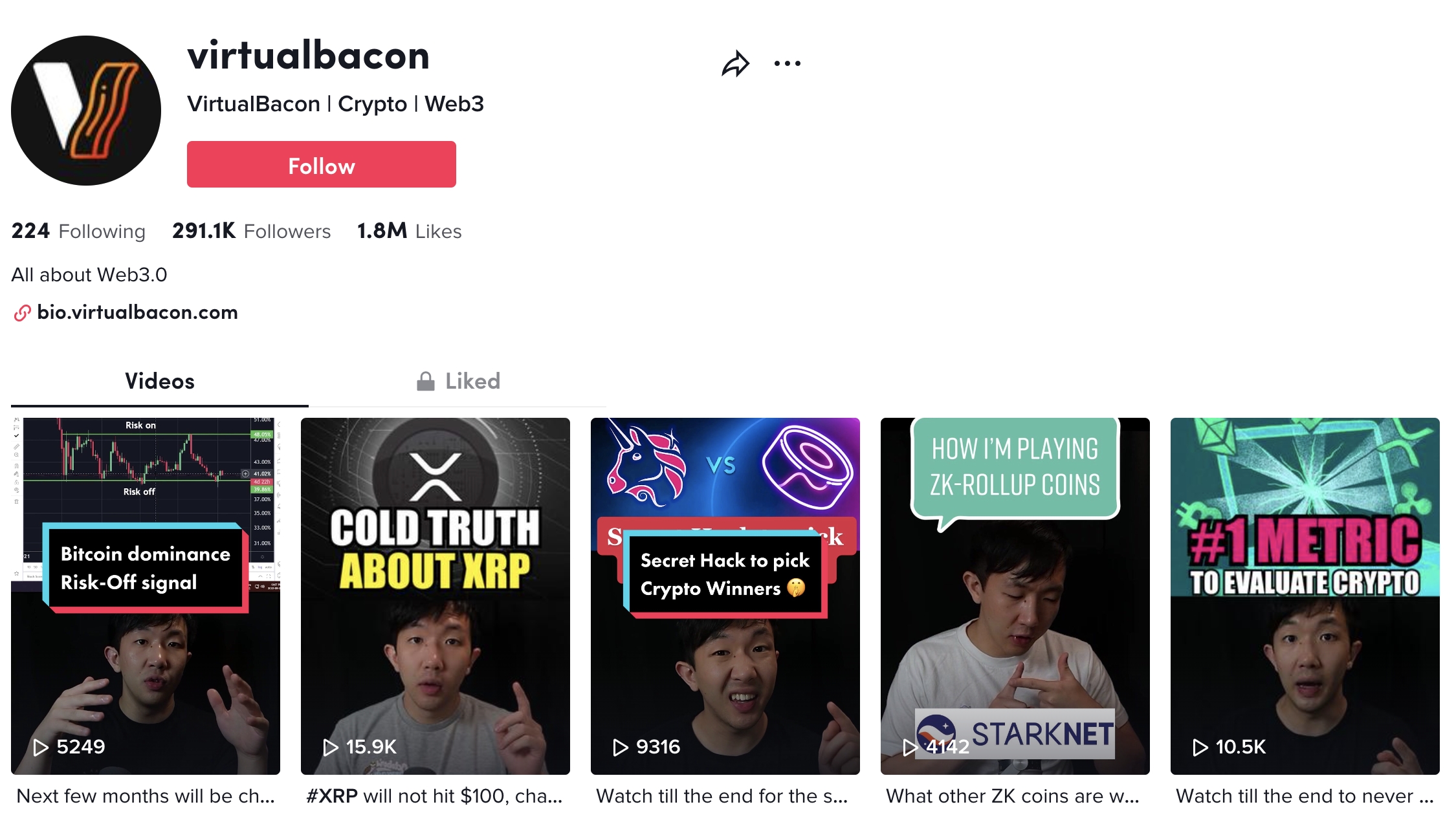 virtualbacon tik tok profile