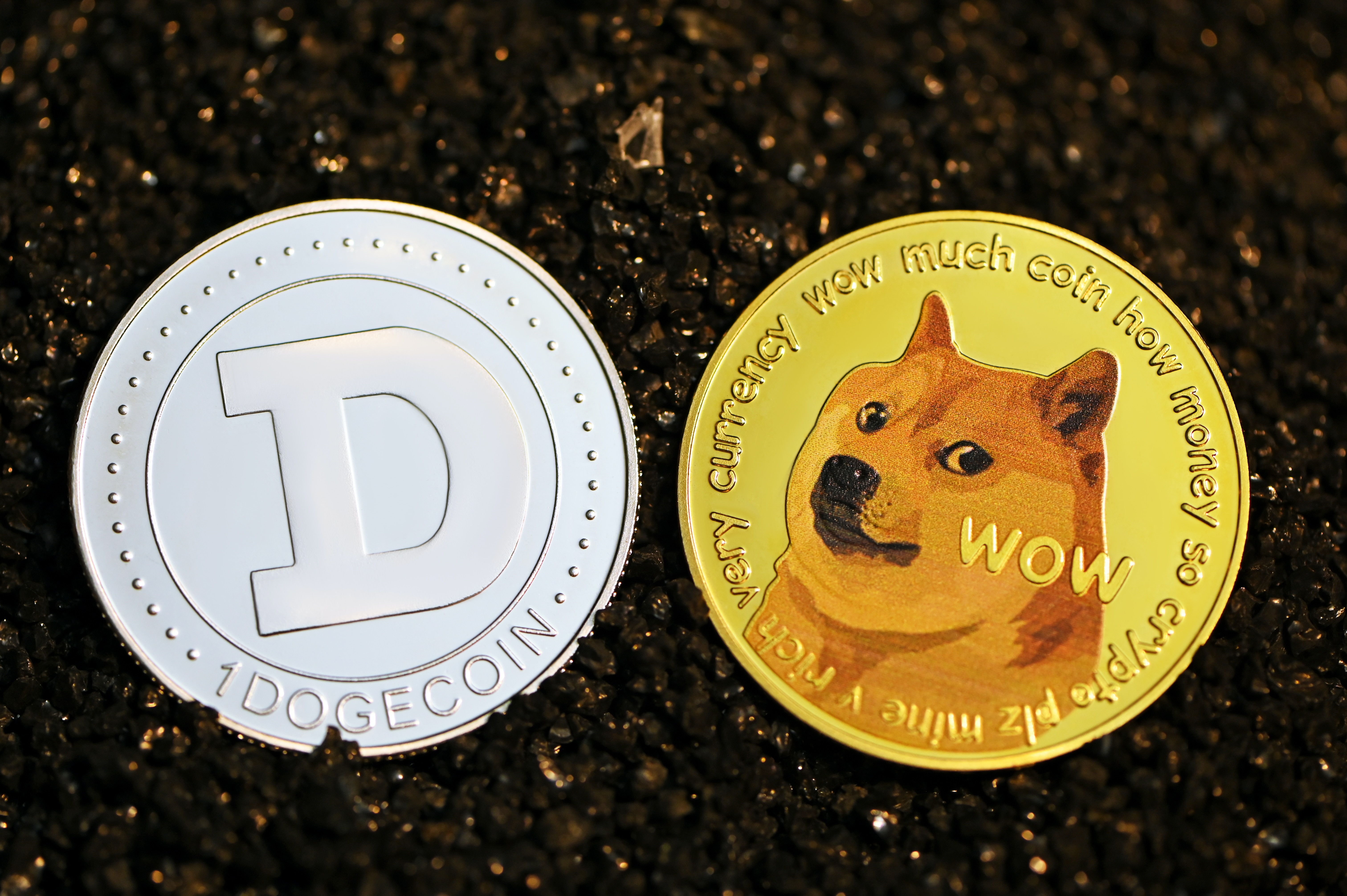 Dogecoin physical coin