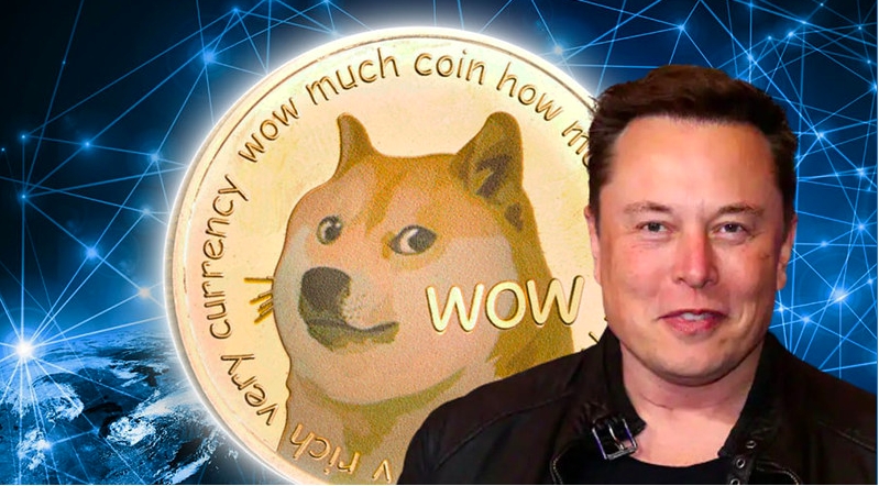 Elon Musk Dogecoin