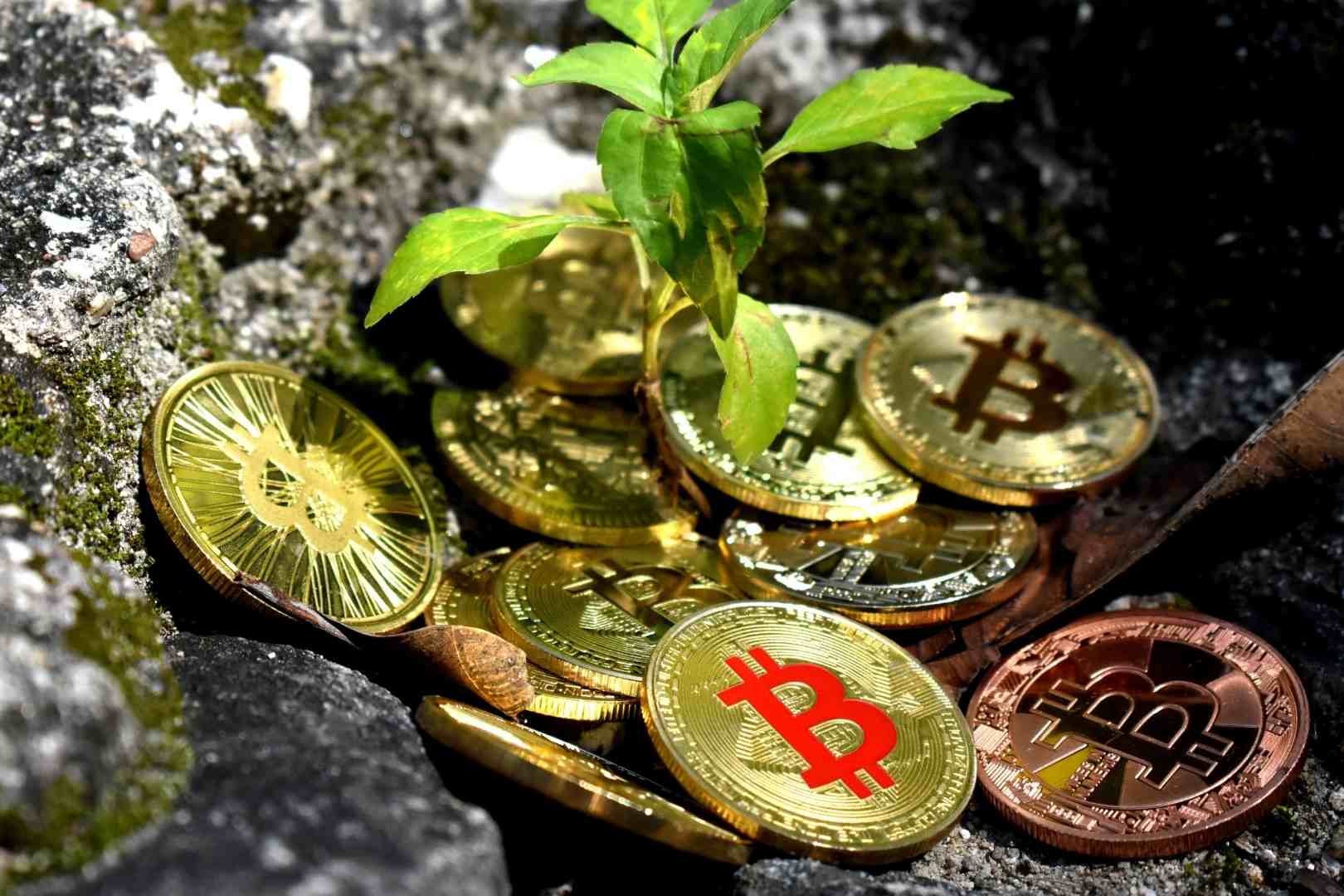 criptomonedas sostenibles