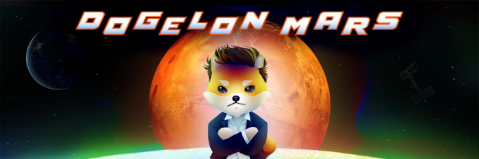 Dogelon Mars Meme Coin