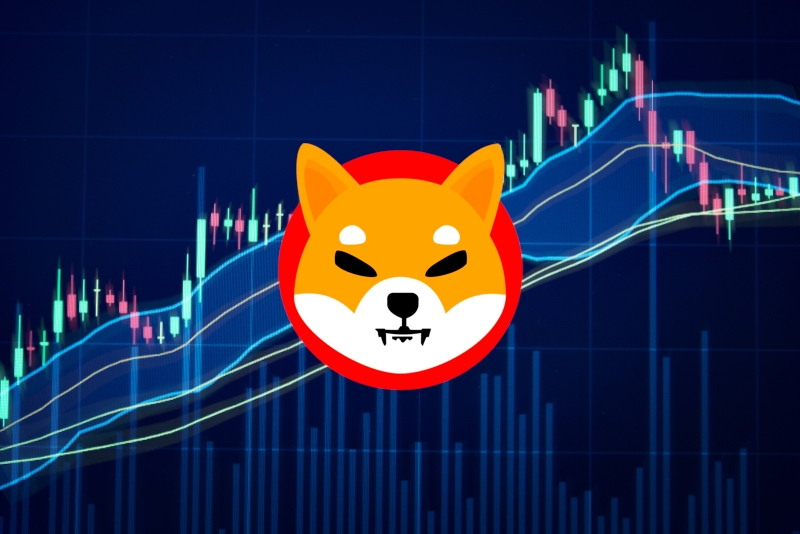 Shiba Inu Price Prediction