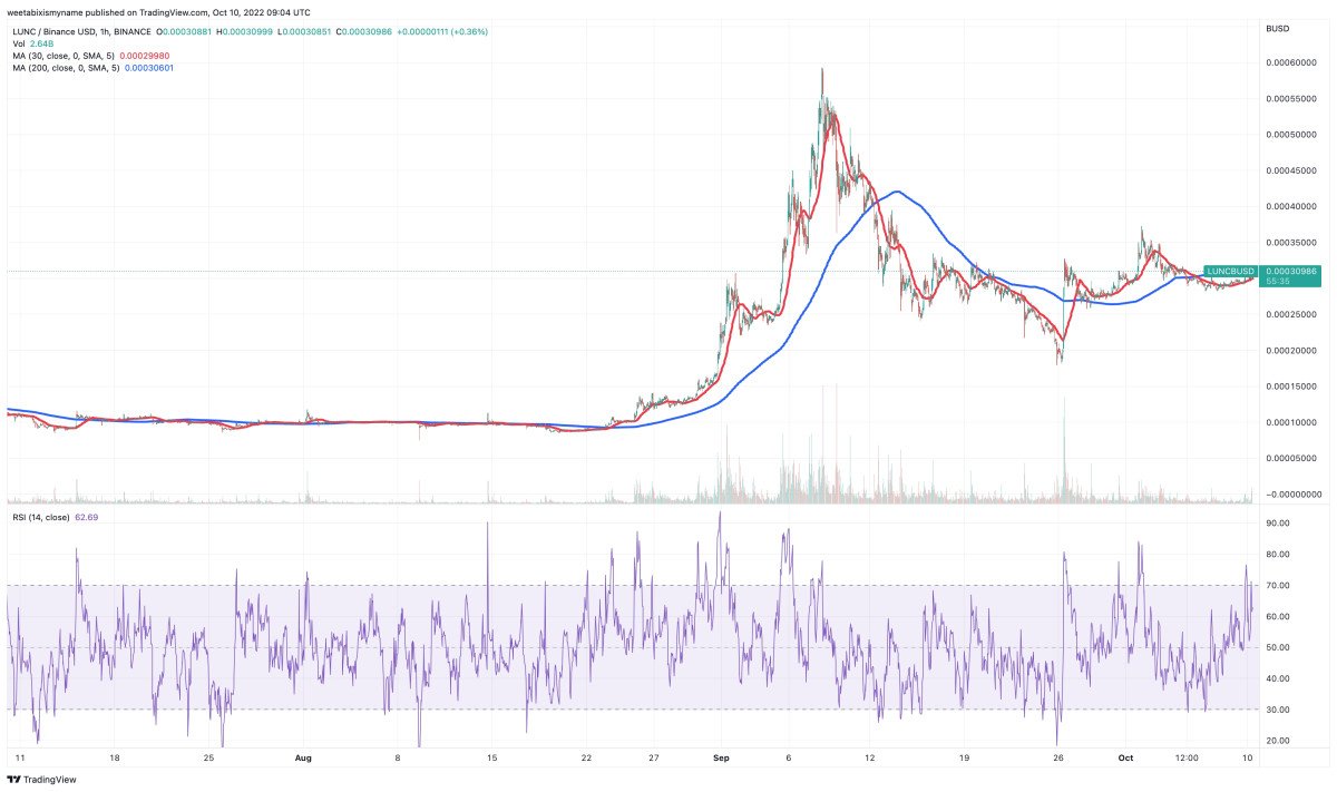 Welke Crypto Kopen Vandaag