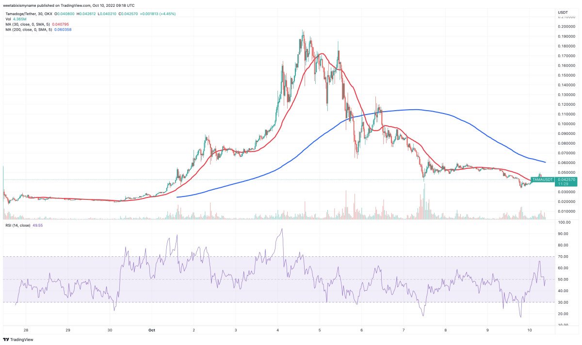 Welke Crypto Kopen Vandaag