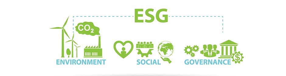 ESG-Standards