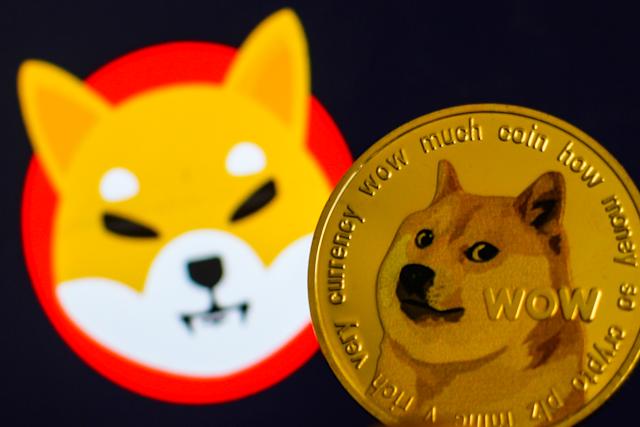 criptomonedas de perros