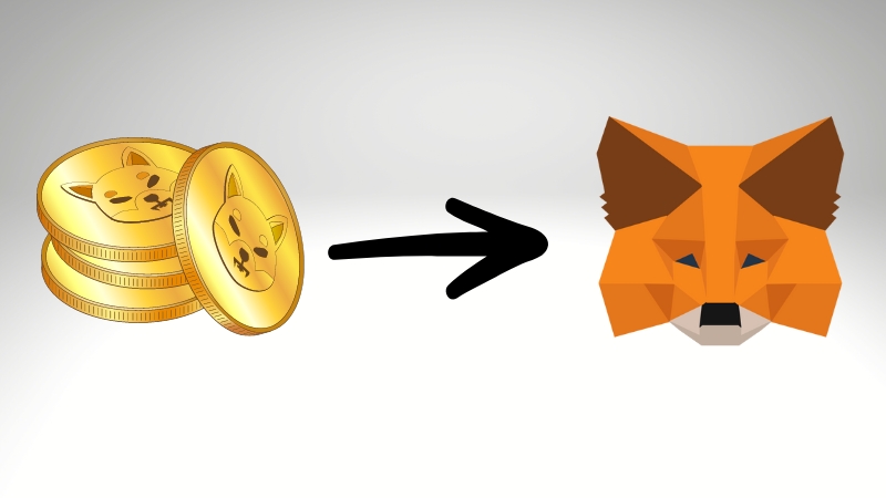 SHIB Token im Wallet aufbewahren