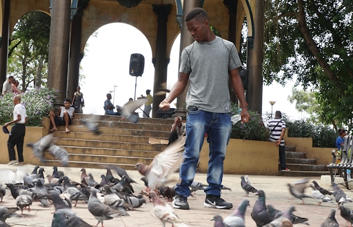 William Bill Siveter feeding Pigeons in Zona Colonial - Santo Domingo