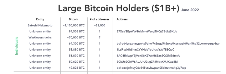 largest bitcoin holders