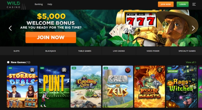 wild casino welcome bonus