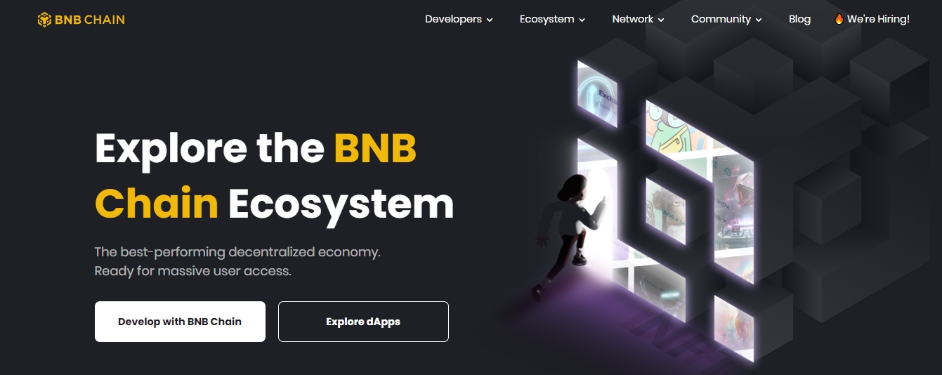 ayuso criptomonedas BNB