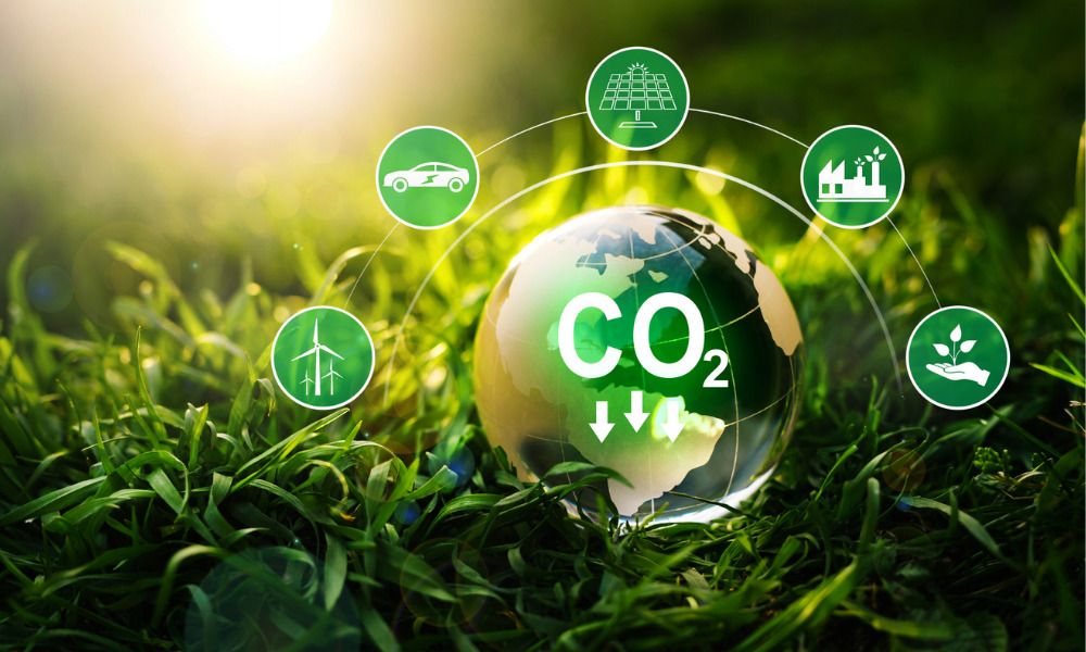 Os melhores programas de compensação de carbono hoje