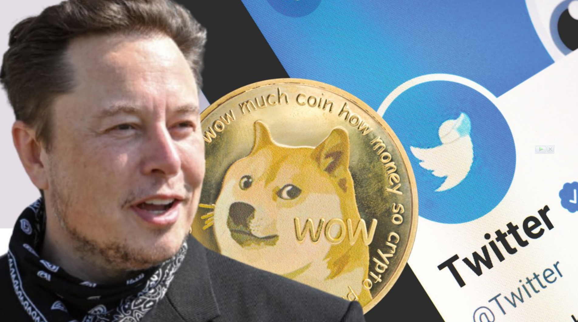 Dogecoin Price Prediction Elon Musk to Add DOGE Payments on Twitter