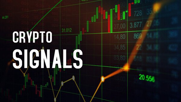Quais são os melhores grupos de sinais de criptomoedas do Telegram?