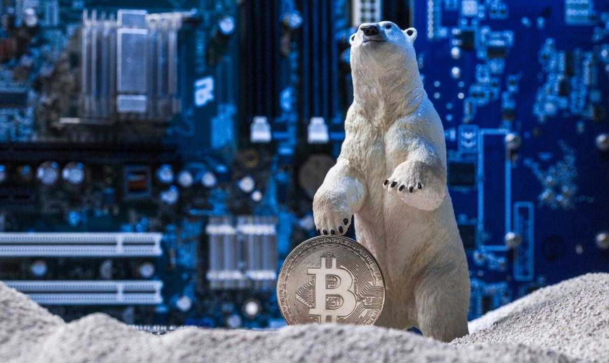 i token da comprare durante il crypto winter