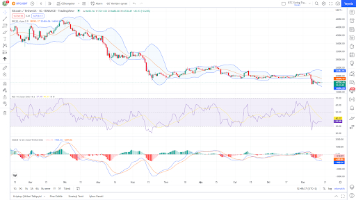 bitcoin fiyat grafigi