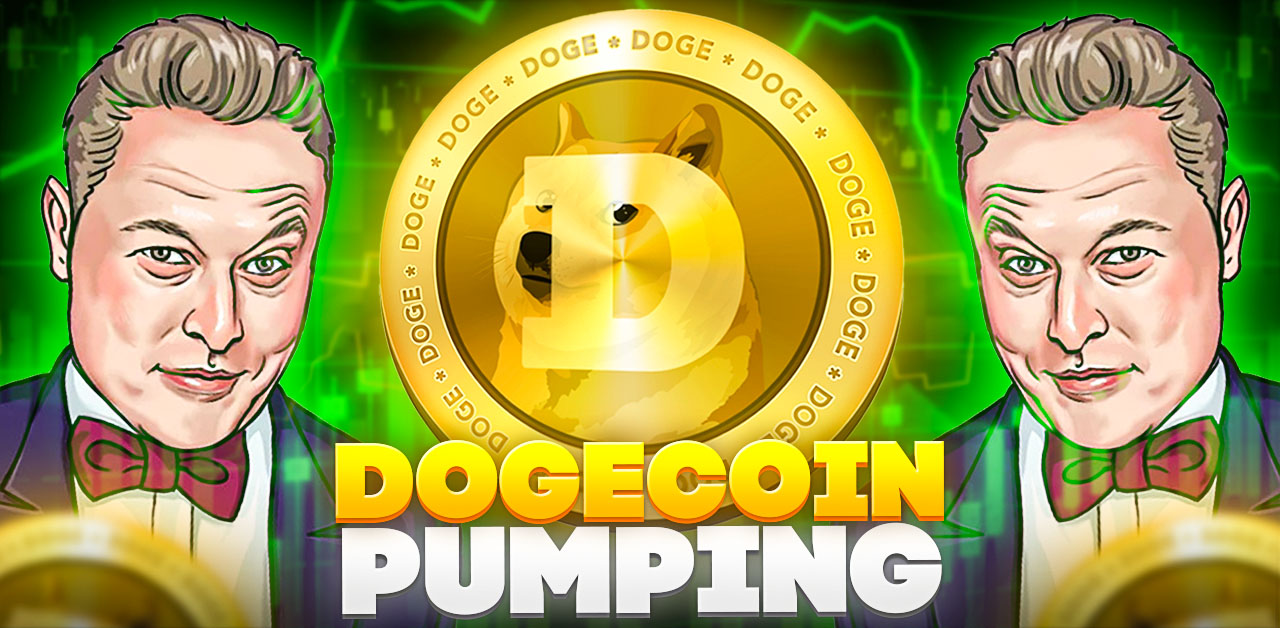 Dogecoin Pumping