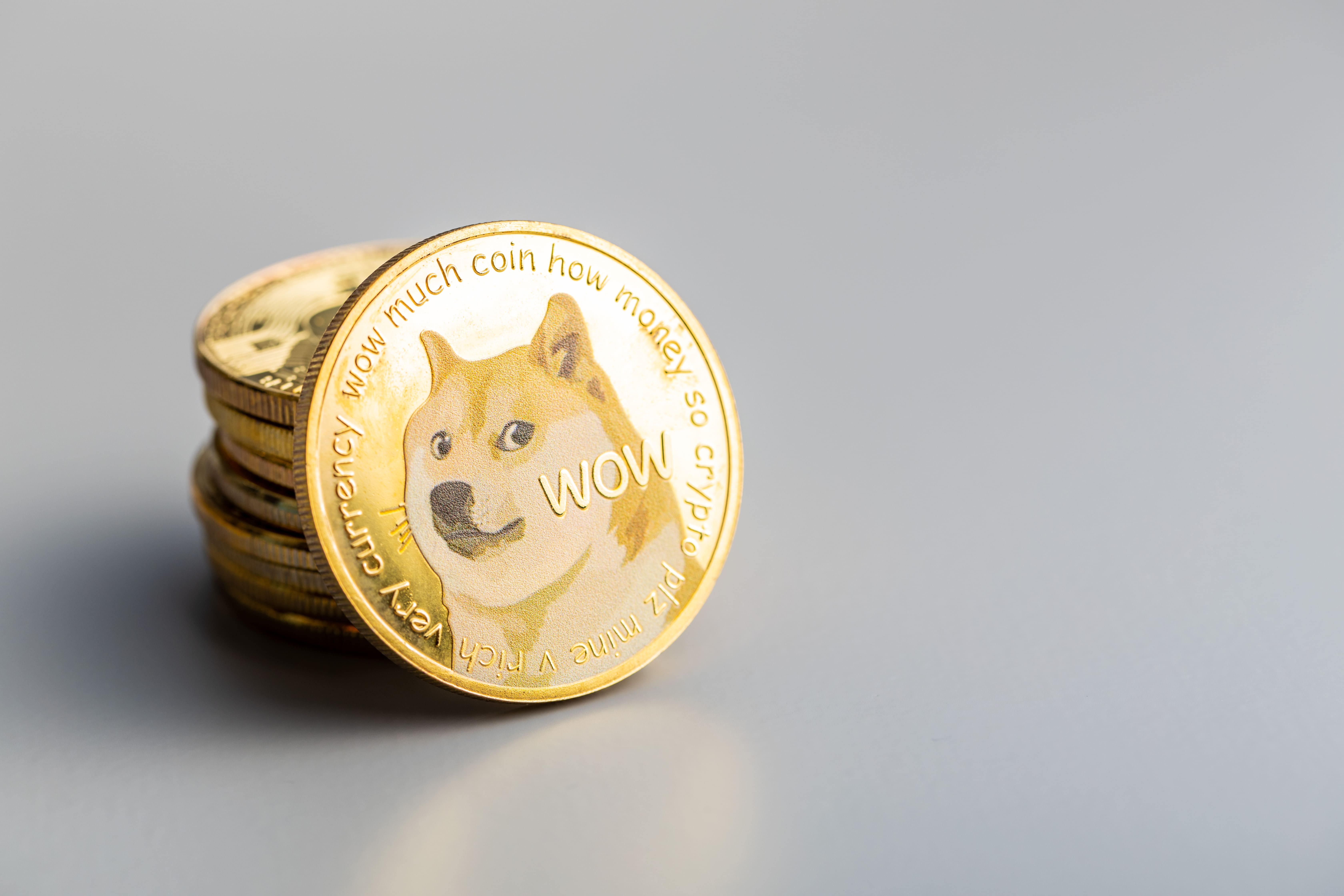 doge coin - hoe crypto kopen