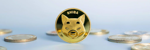 Shiba Inu