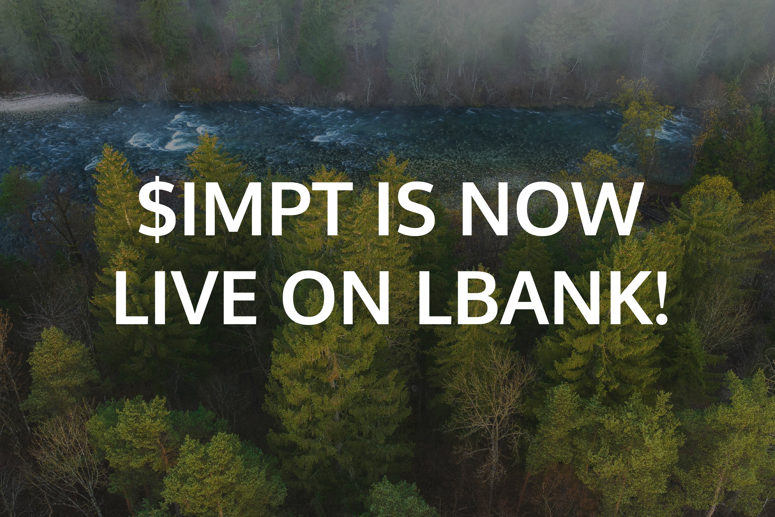 IMPT live op LBank