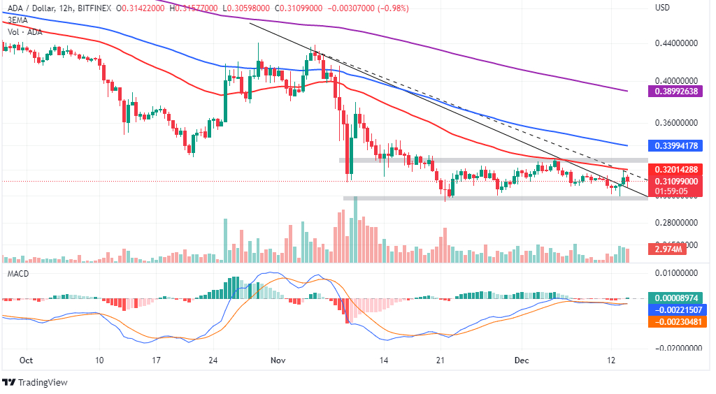 ADA/USD 12-hour chart