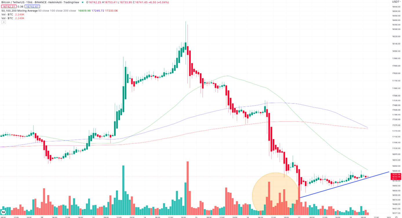 Bitcoin Stundenchart