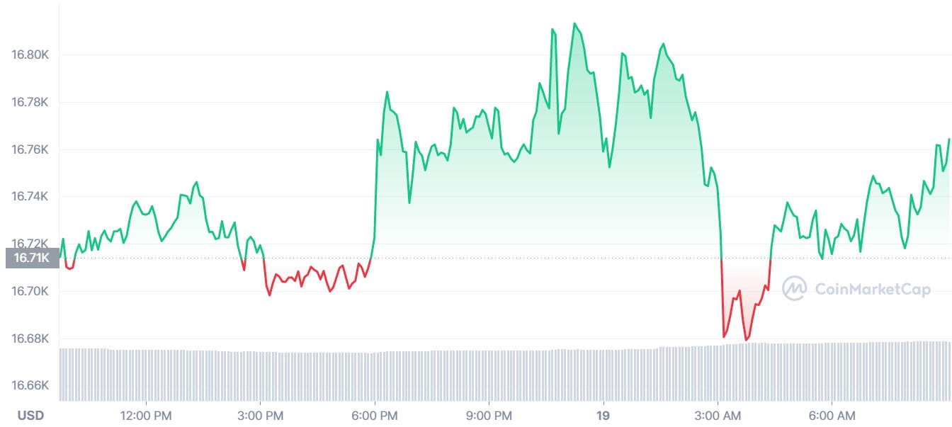 BTC fiyat grafiği