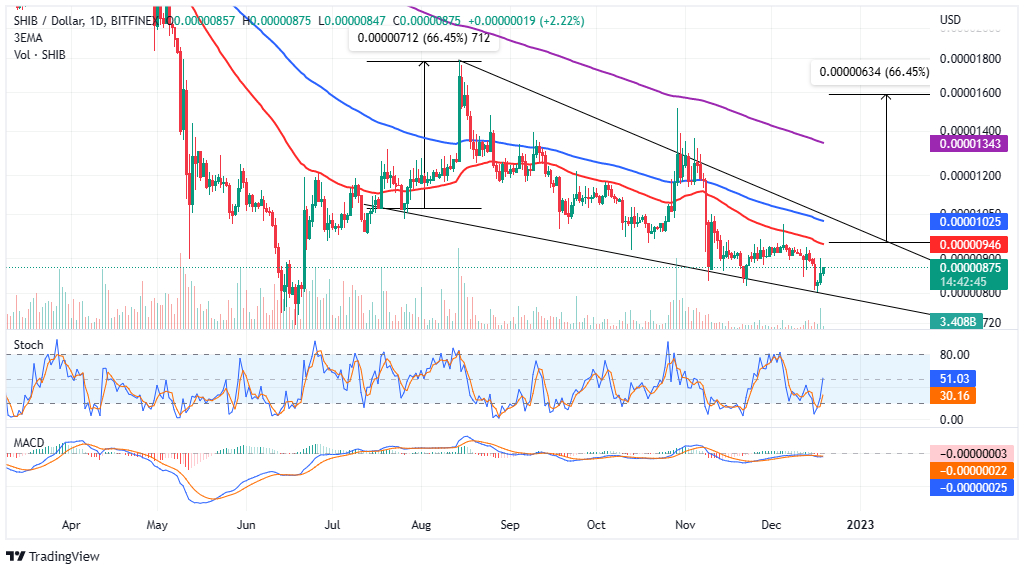 Shiba Inu price chart