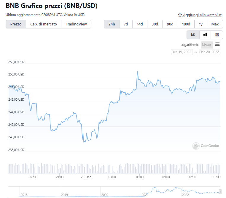 Grafico del token BNb nelle 24ore - Fonte: CoinGeko