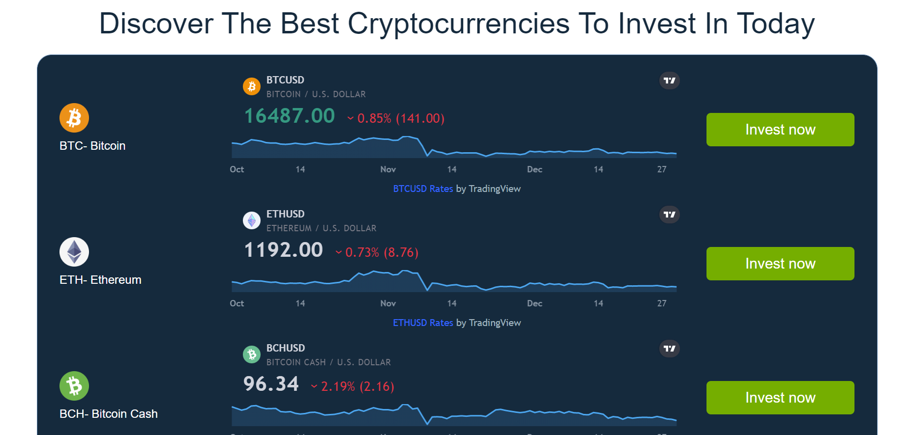 bitcoin 360 ai musk