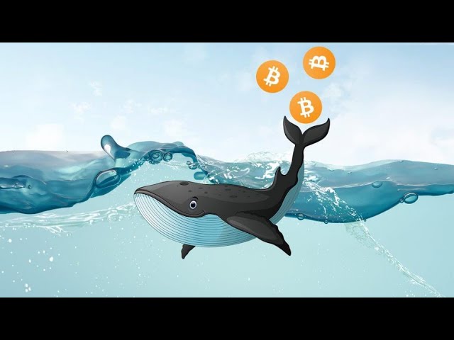 Mouvement de 94 000 Bitcoin soit 1 milliard de dollars ! Revue de marché