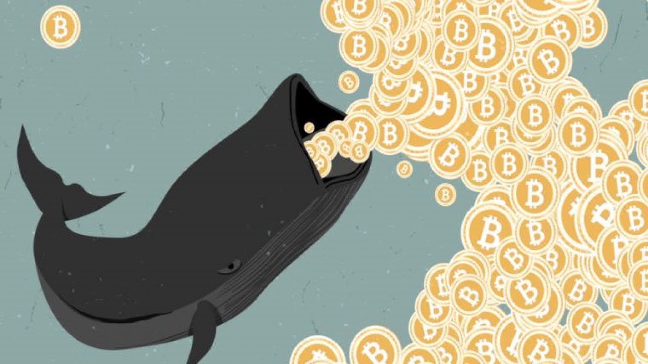 Une seule BALEINE a manipulé le prix du BITCOIN en 2017 ?